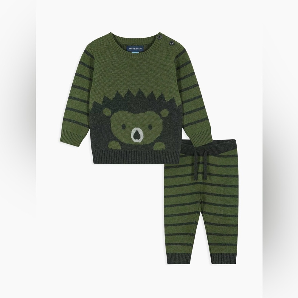 Andy & Evan Baby Boy's Porcupine Sweater Set